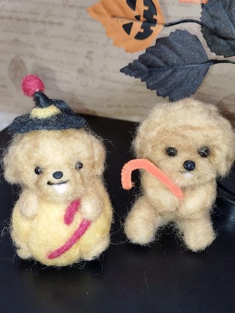 ホスト NAOTO スーツ DVD 2枚組 劇団荒城 石橋直也 第一回自主公演